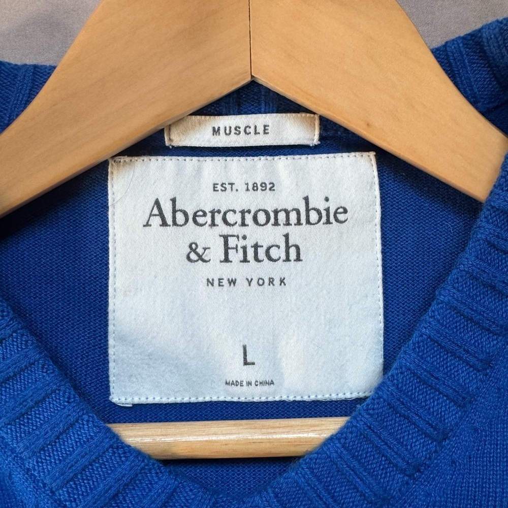 Abercrombie & Fitch Muscle VNeck Sweater Mens Large Cotton Cashmere Blend Preppy - Picture 11 of 14